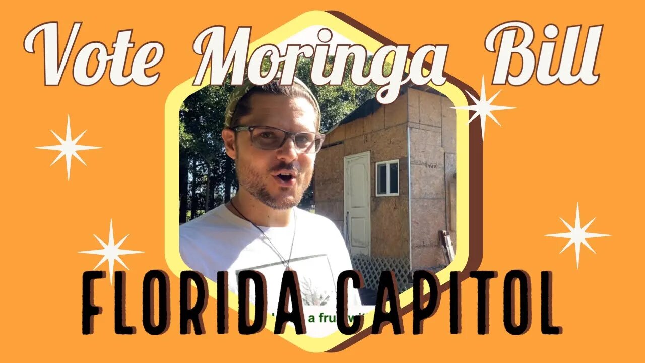 Vote Yes! For Moringa Bill - The New Official Florida State Fruit as Most Nutritious Cash Crop