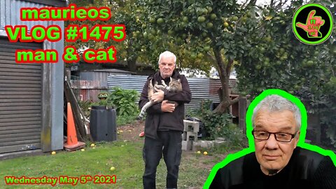 maurieos VLOG #1475 man & cat