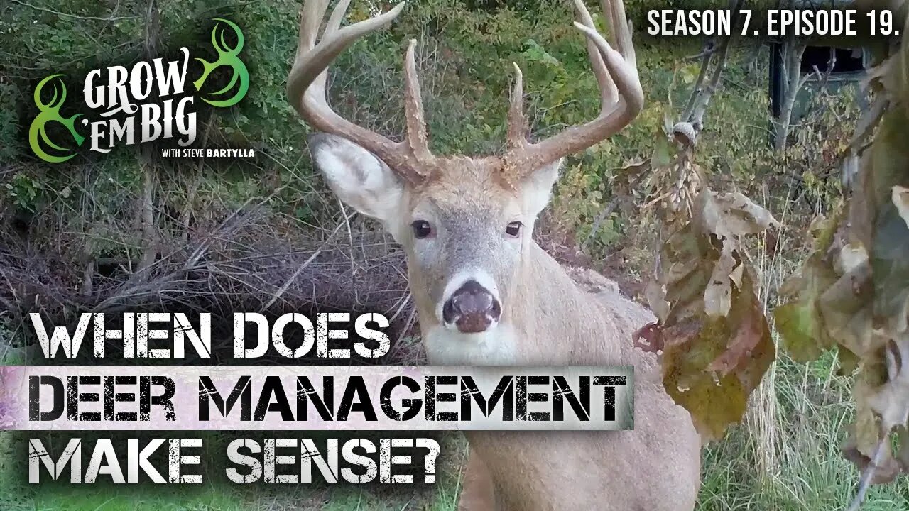 Management Bucks: What You Should Know
