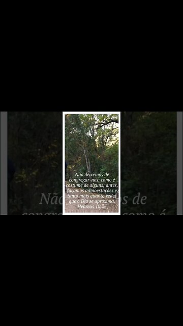 VERSÍCULO DO DIA 03/09/2022.#shortsvideo