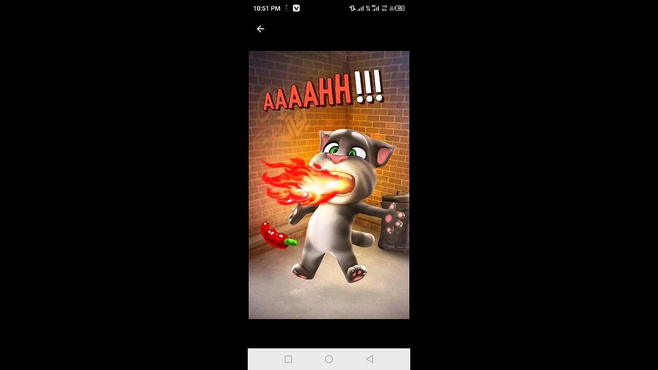 Talking tom video #funy #video #talking #tom #dflowo