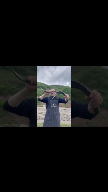 #shorts #2022 funny,prank,funjokes,dad jokes,funny memes,funny video,fun,laughing,funny animal,knock