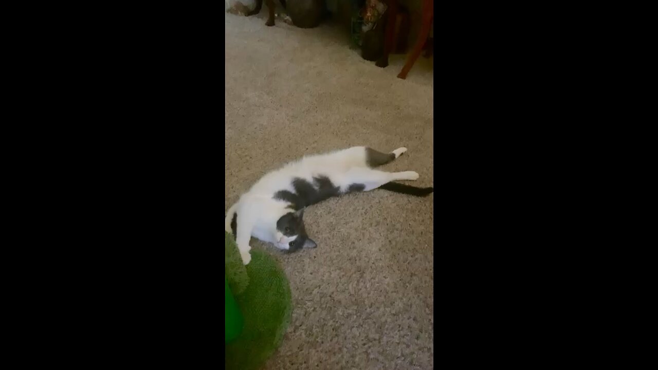 Exhausted