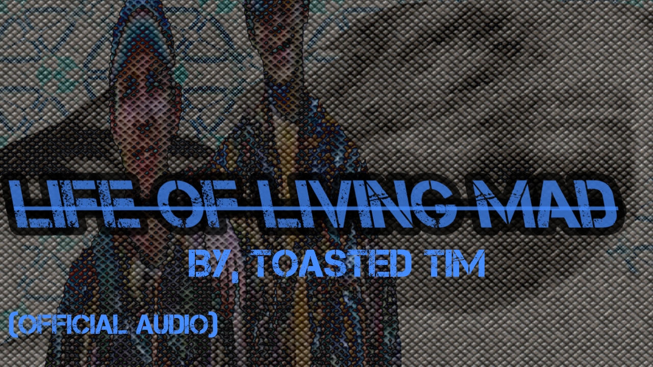 Life Of Living Mad Official Audio By Toasted Tim