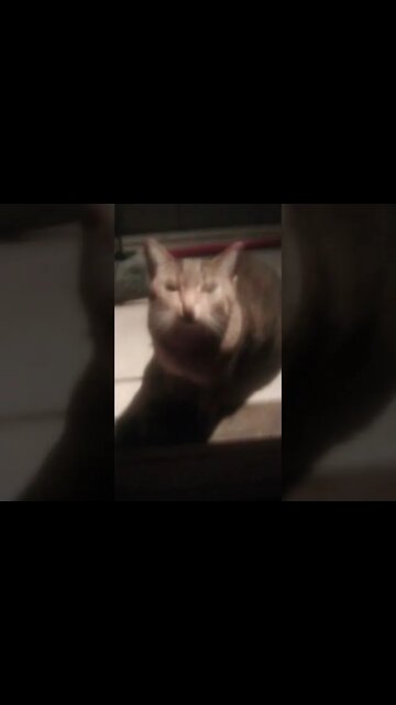 "Diddly Dooo:🔥💩💨☠️👻⭐👽🤠🤖👿👹🤬👁️💀💗🙀😱😲🤯💫😫🤧🤮😖😮🥵🤒😰🎃🤡😇🤥🥴🤕😵😷🥶💩💩💩⚡🖕🛌🍀🛫🛬🛫🗽✈️🛩️🚁🚀🛸🕋🌋🎉🎊