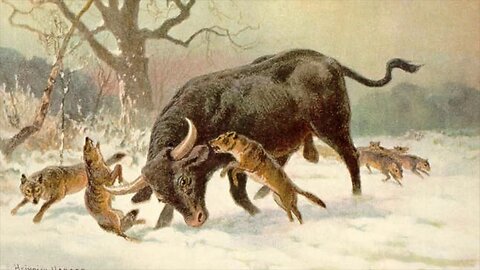 ASOIAF | The World of Ice & Fire | Westeros Monsters Compendium - Aurochs