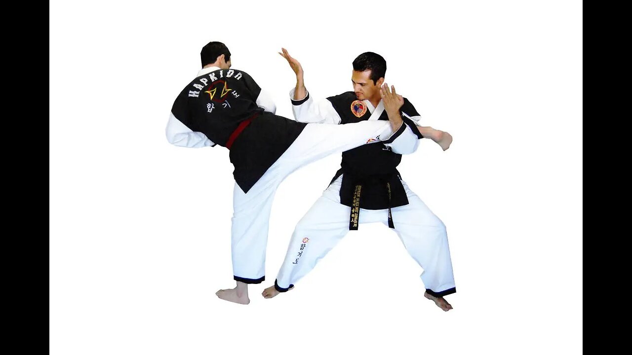 HAPKIDO ESSENTIALS