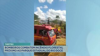 Timóteo: Bombeiros combatem incêndio florestal próximo ao Parque Estadual do Rio Doce