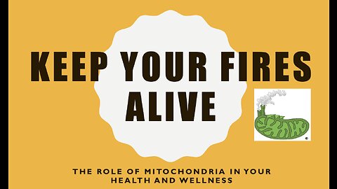 Keep your fires alive-The role of mitochondria in your health and wellness.