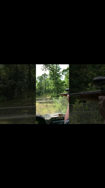 #shorts Kiddo chootin ruger 10/22