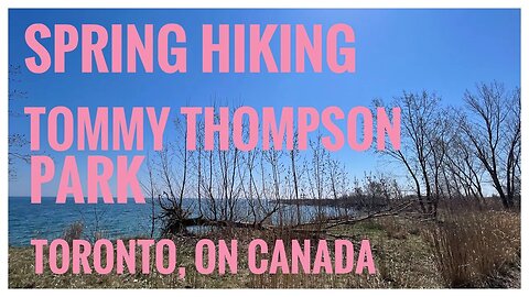 Tommy Thompson Park | Toronto, ON 🇨🇦| Birds’ Paradise | No Dogs Allowed | Hiking Vlog | Relive |4K