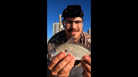Fishing The Cherry Grove Beach Pier For The First Time. CATCH,CLEAN,COOK