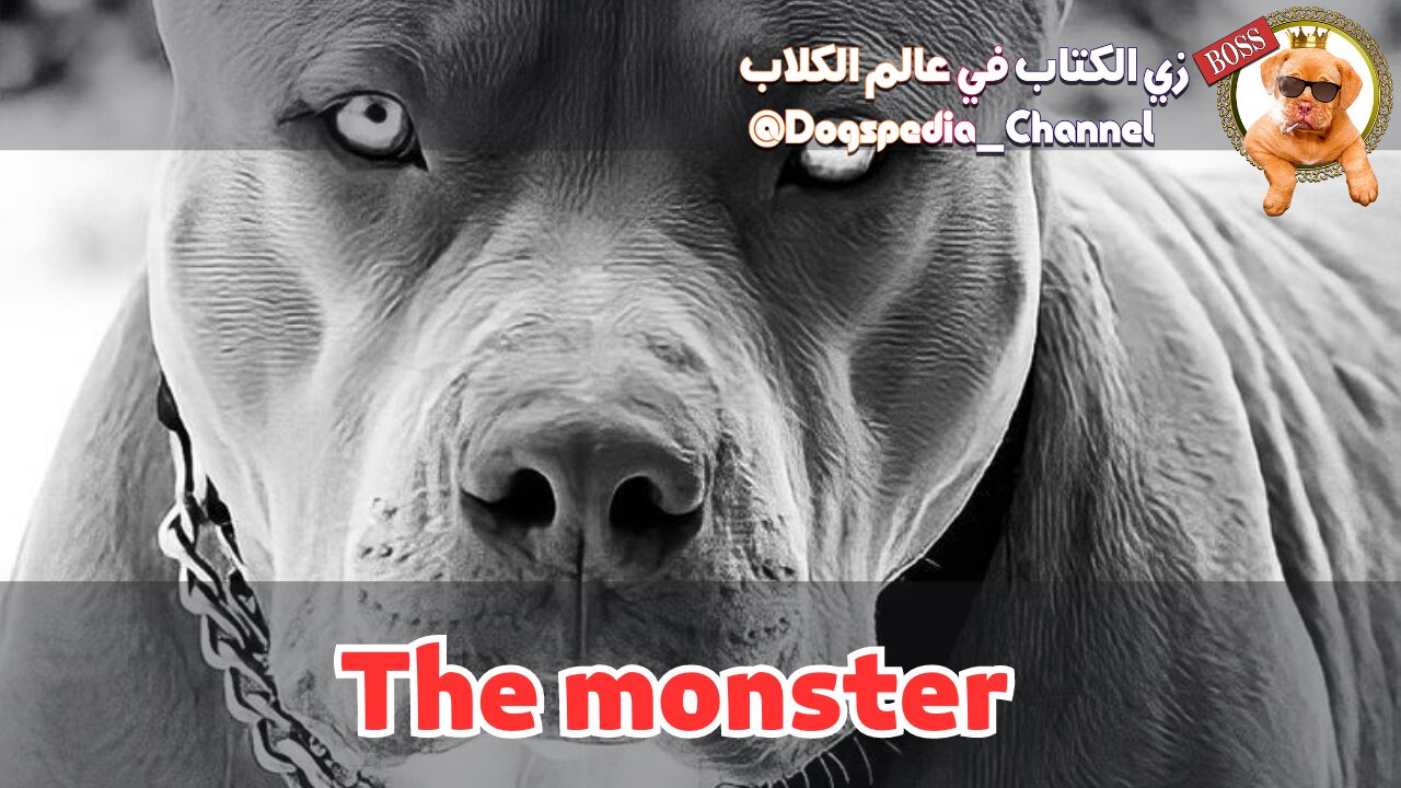 The monester