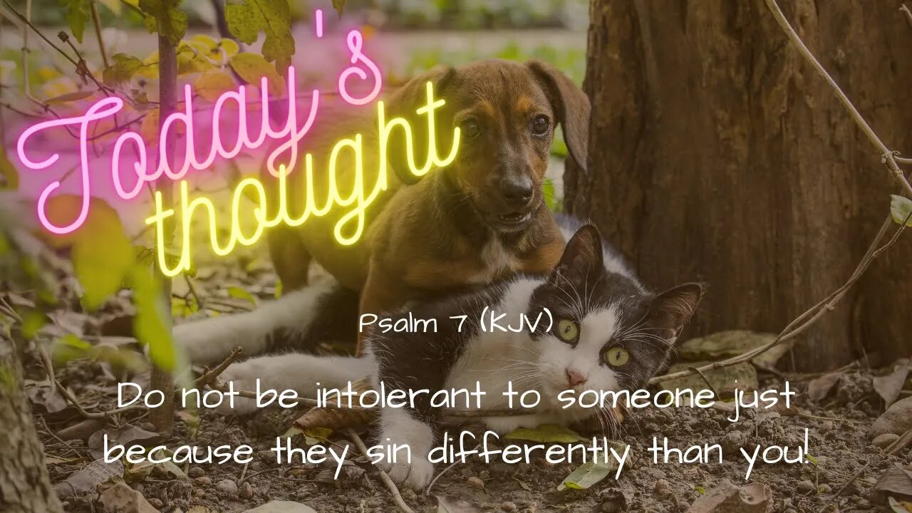 Daily scripture and prayer | Psalm 7 |Today's Thoughts - Don't be intolerant