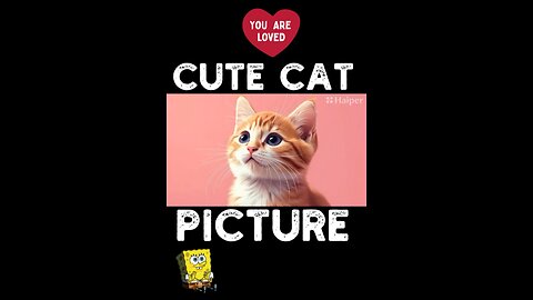 Cute Cat Picture