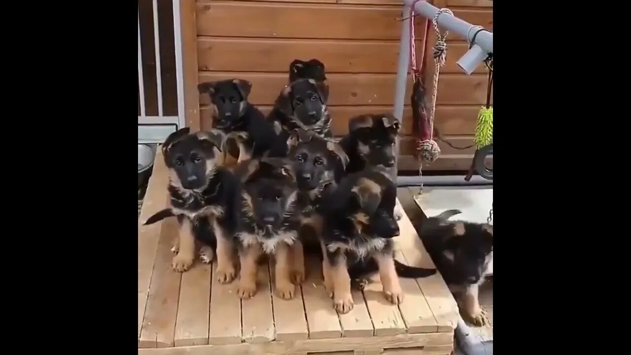 Family photo