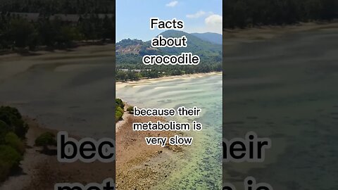 #shorts #facts #crocodile #interestingfacts #amazingmazing #animals