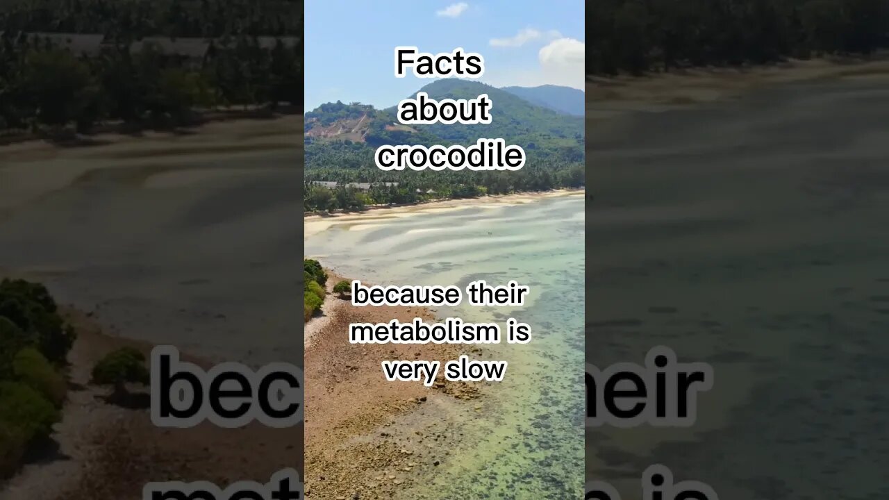 #shorts #facts #crocodile #interestingfacts #amazingmazing #animals