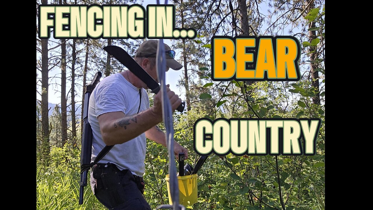 Fencing In Bear Country