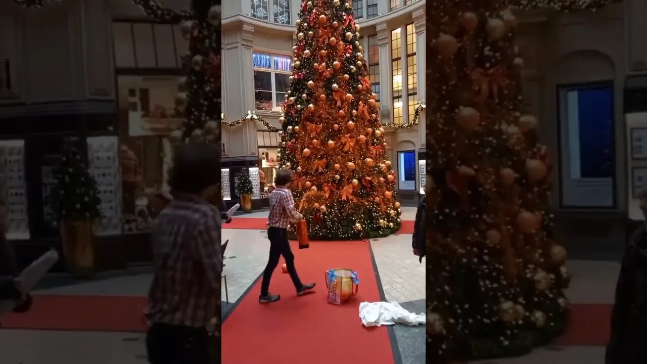 Members of "Last Generation" attack Christmas trees with paint