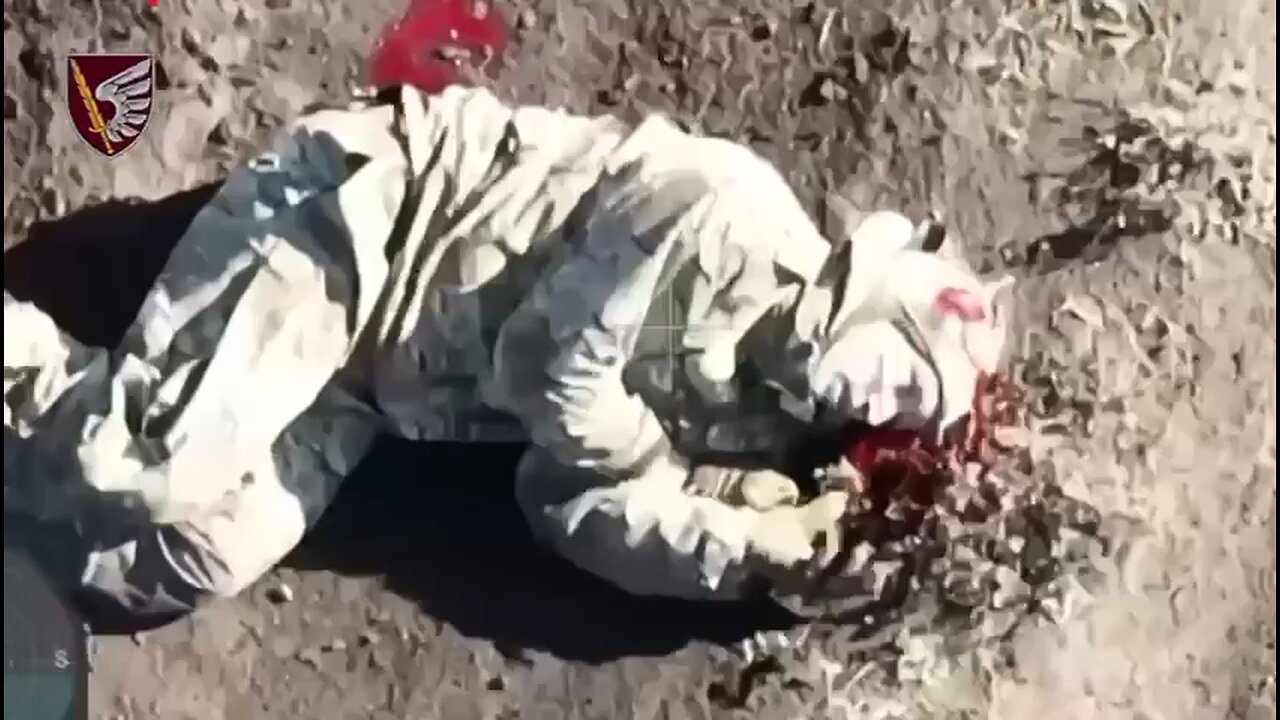 Deadly Ambush: 79th Brigade Turns Russian Assault into a Bloodbath