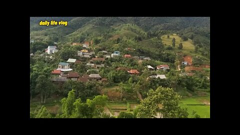 my hometown village | daily life vlog