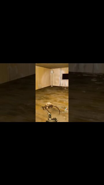 Half Life Alyx mods that got more profile views on TikTok Gaming 12