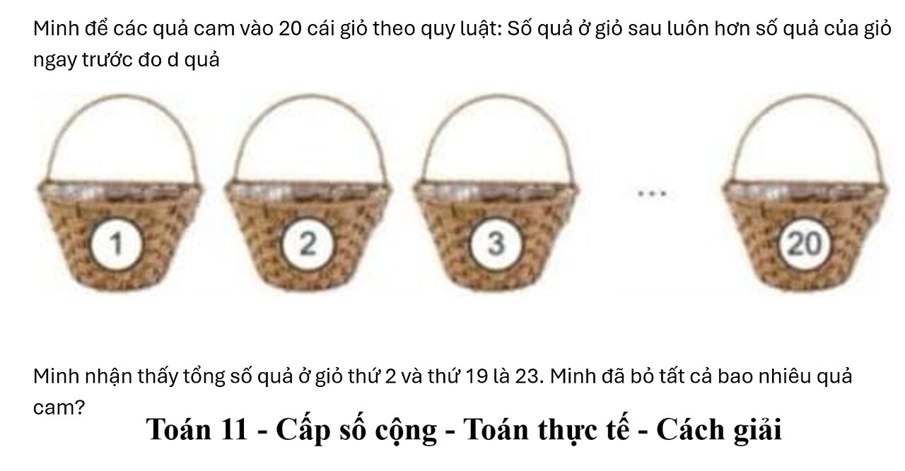 Toán 11: Cấp số cộng: Minh để các quả cam vào 20 cái giỏ theo quy luật: Số quả ở giỏ sau luôn