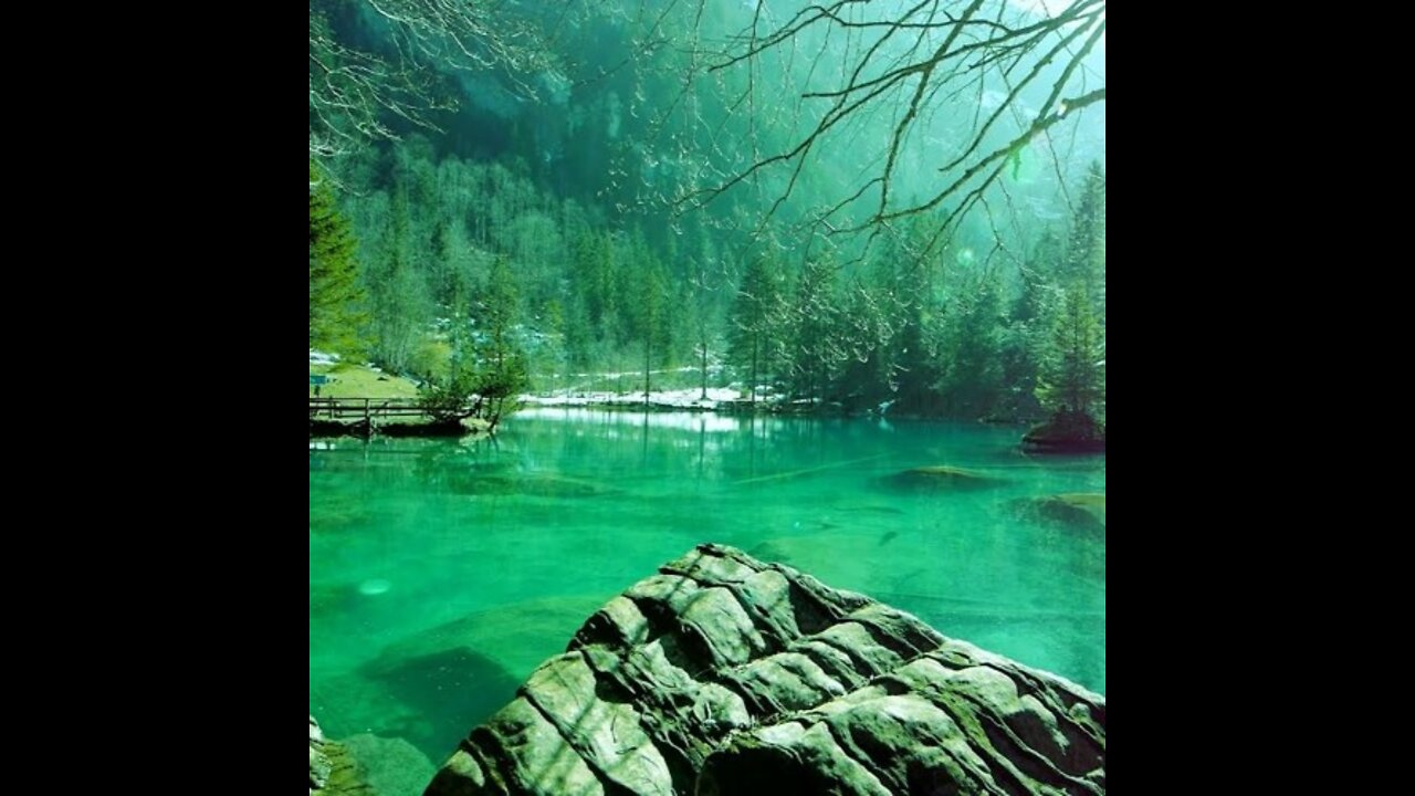 Relaxing music with nature video