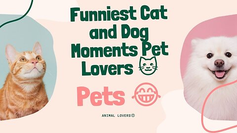 Funny Dog and Cat Moments for Pet Lovers! 🐶🐱| Animal Video