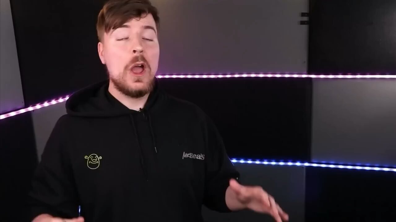 Mr beast reacting to cute animals