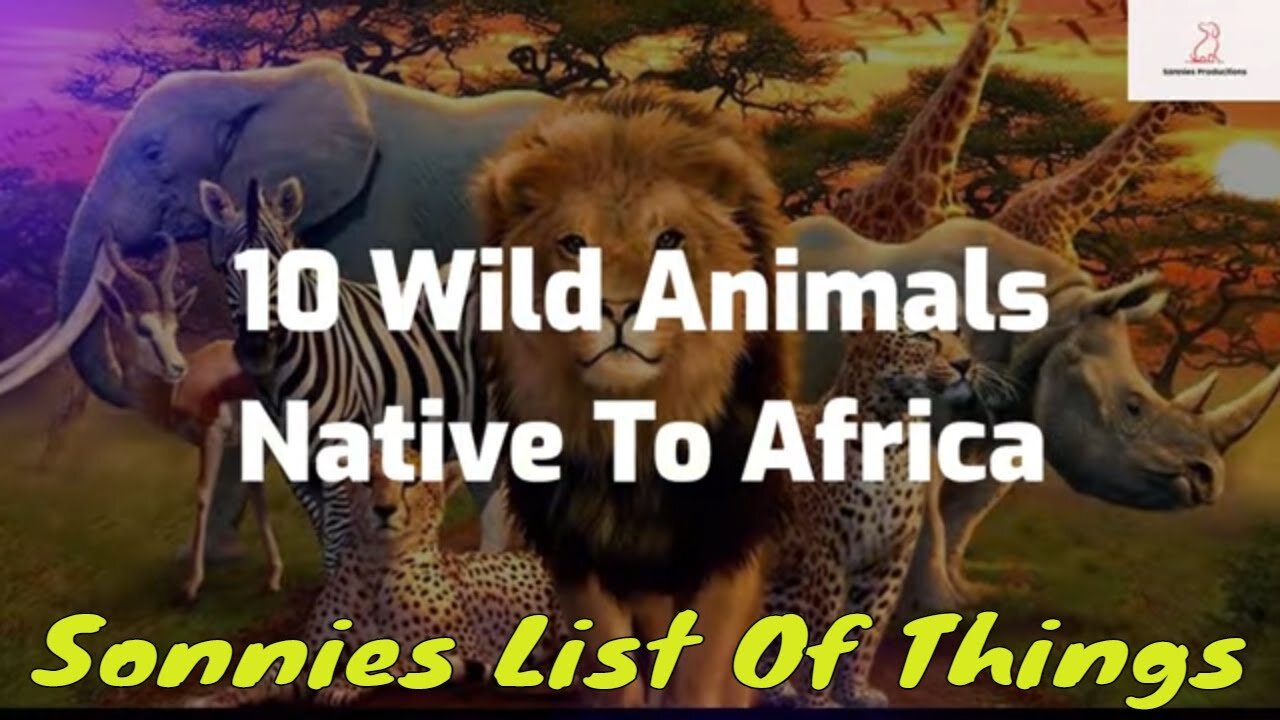 Top 10 Wild Animals Native To Africa