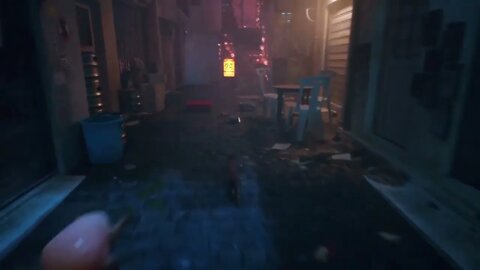 Stray Hell Run