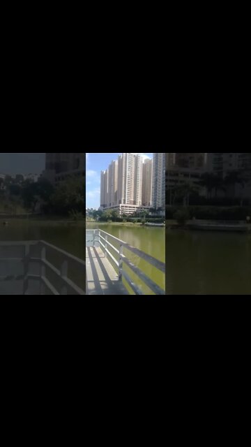 no parque de barueri 4 #shorts