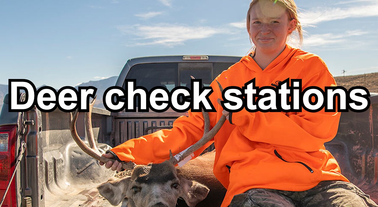 Deer check stations