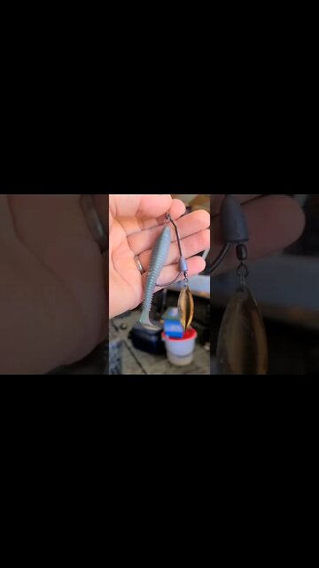 Best Fall Fishing Lures #FinTherapy #fishinglures #bait #ticktok #fall