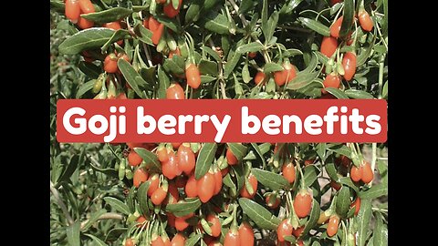 Goji Berry!