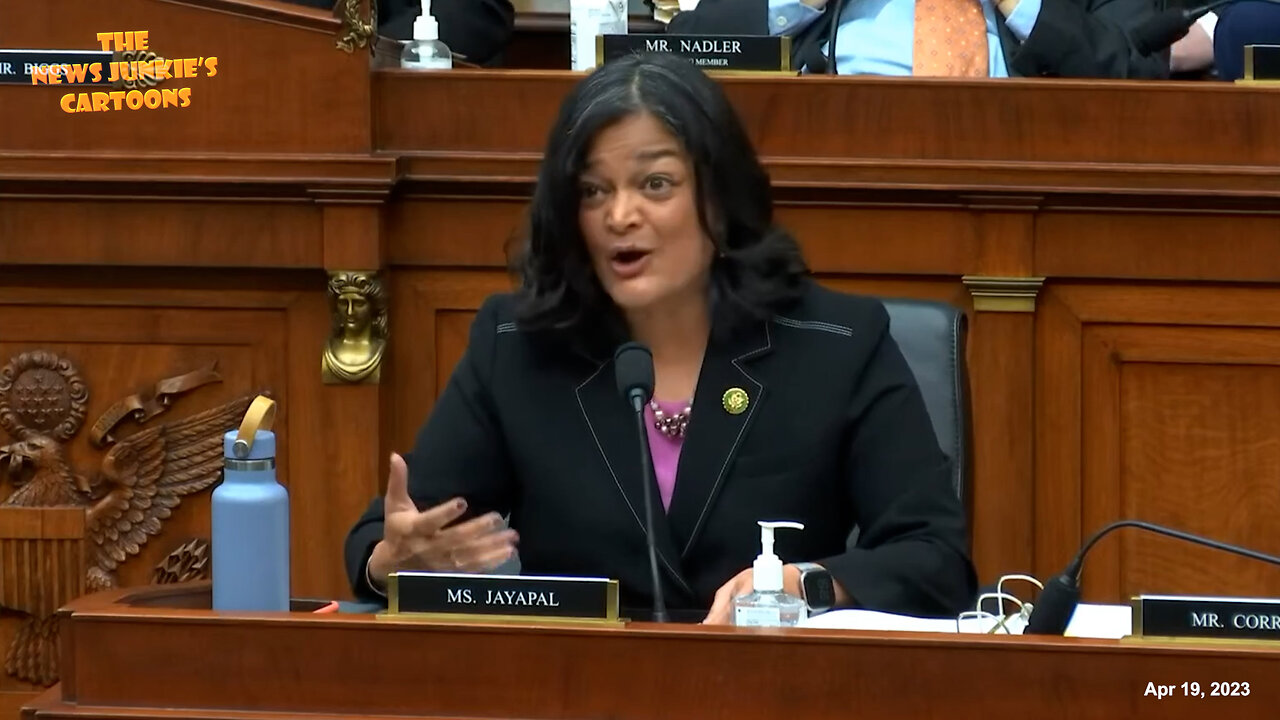 Democrat Jayapal defends mass illegal immigration of Biden admin: "Who will clean our homes?"