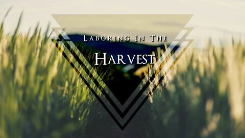 Laboring In The Harvest