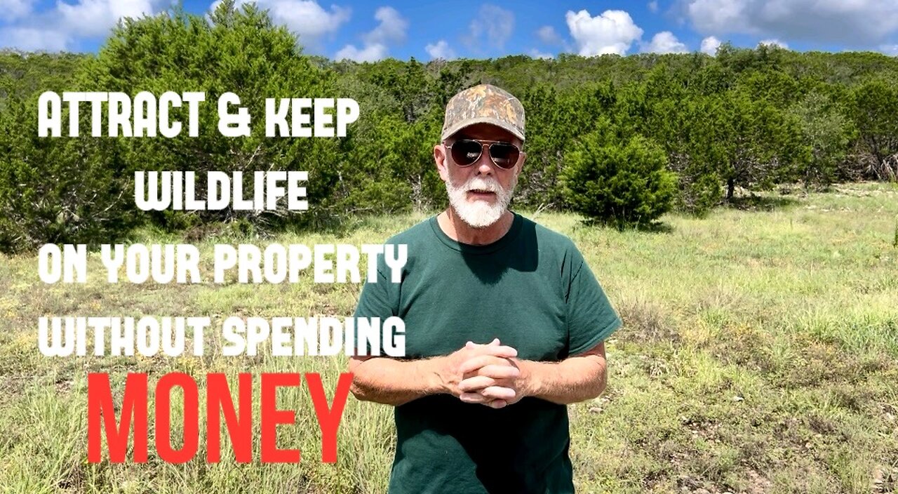 Attract & Keep Wildlife On Your Property Without Spending MONEY