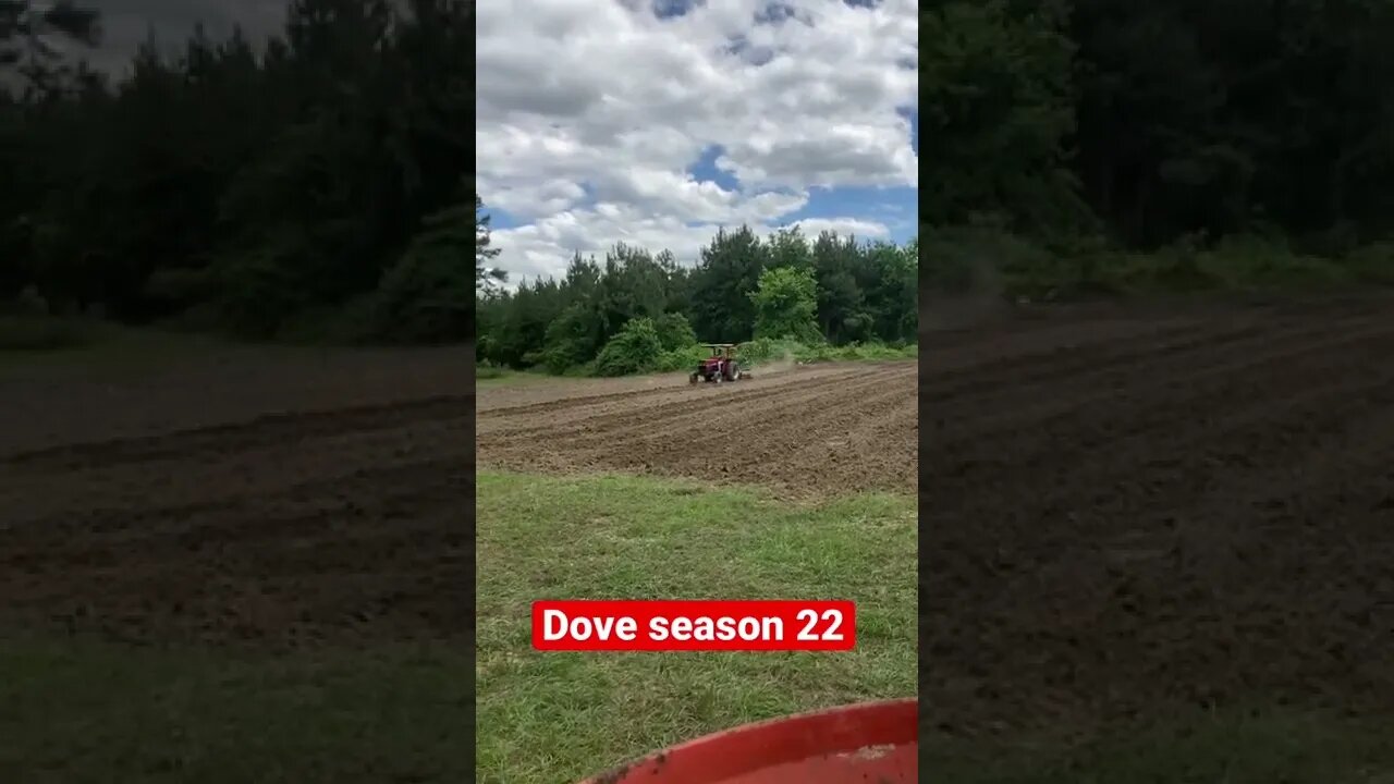 Got the Dove field planted!