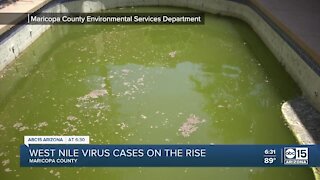 West Nile virus reaches record numbers in Maricopa County