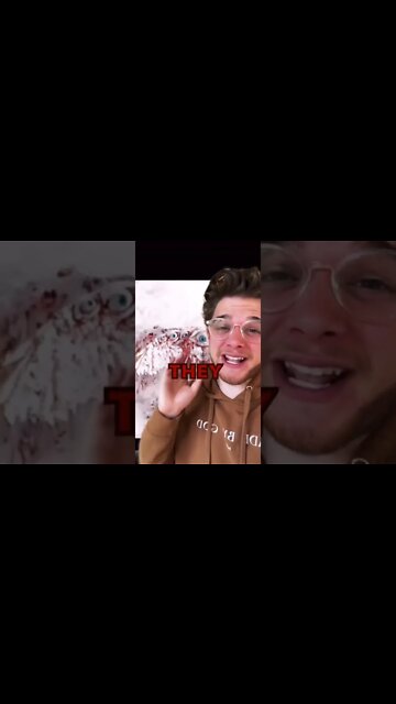 WHAT DO ANGELS LOOK LIKE according to Bible?