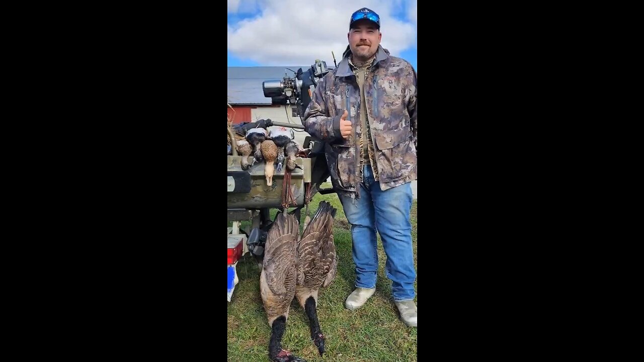 Sunday multi species beat down! Ringnecks, Gadwall, Widgeon, Mallards, Geese, and Doves! l