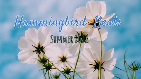 Instrumental Indie Folk Acoustic Promise by Mack Powers(No Copyright Music)