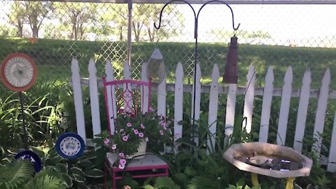 Melinda’s Garden Moment - Dress up a wall or fence