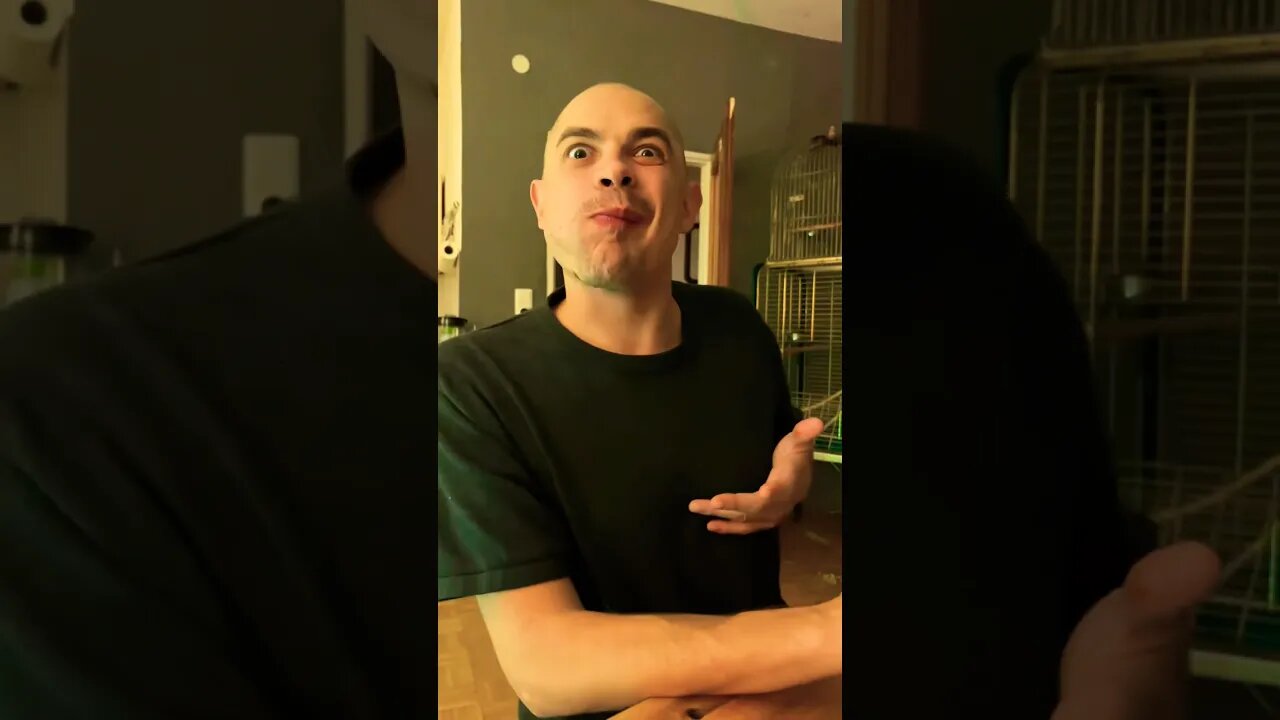 Tadımlık. #shorts #trakyalı #trakyaşivesi #trakya