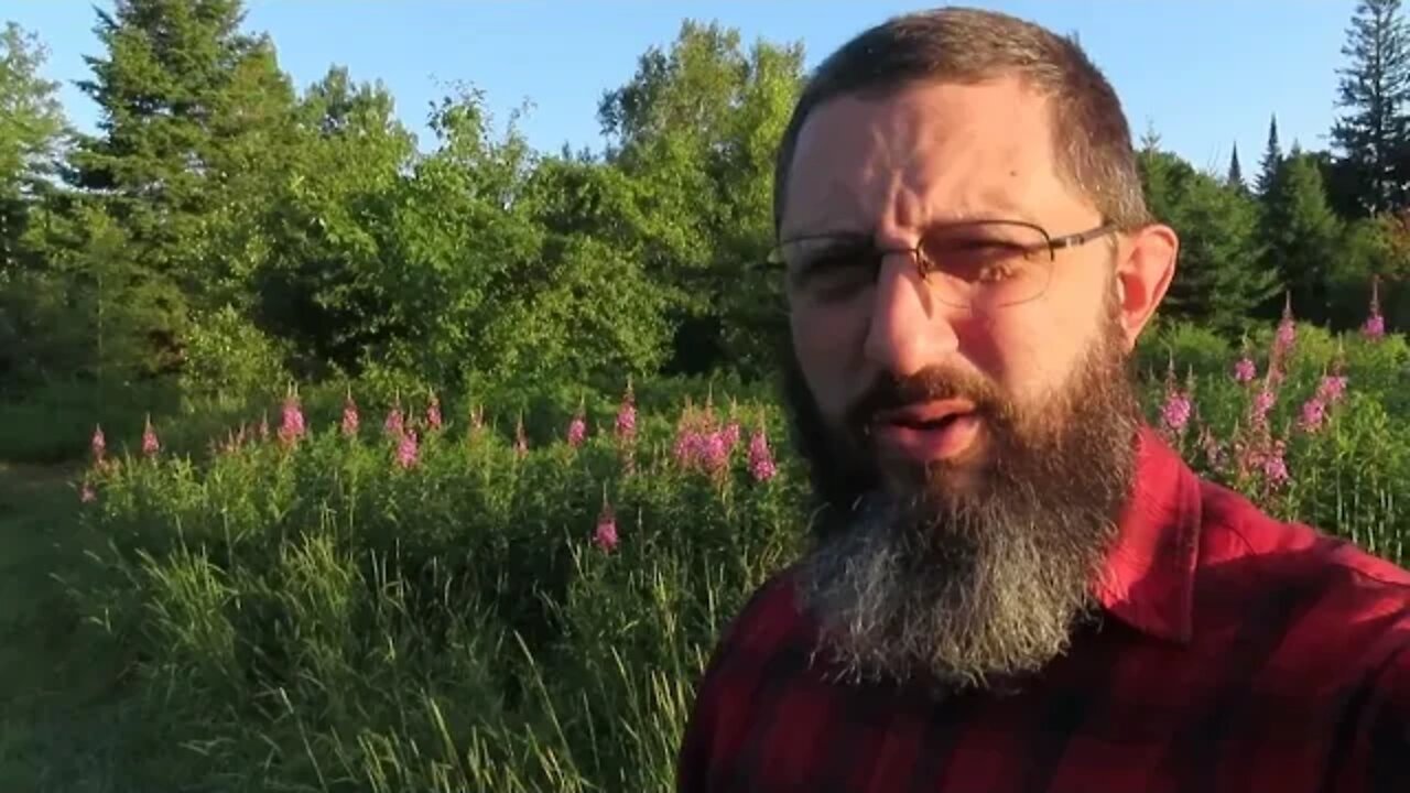 Quick Announcement And Herbal Advice