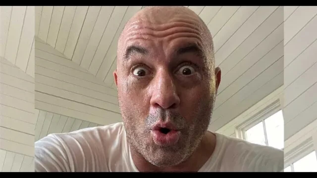 Diggers dug deep this time!