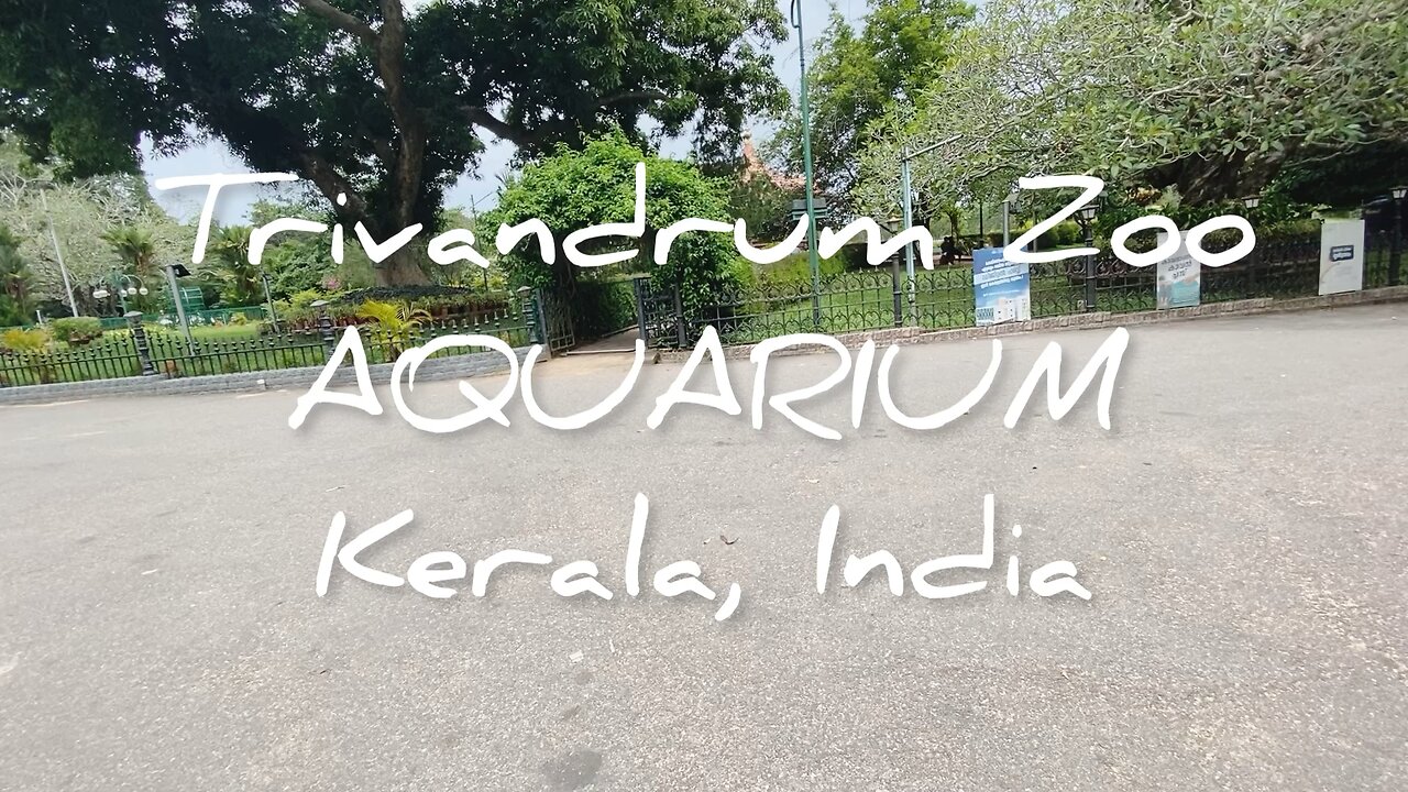 Trivandrum Zoo- AQUARIUM, Kerala, India